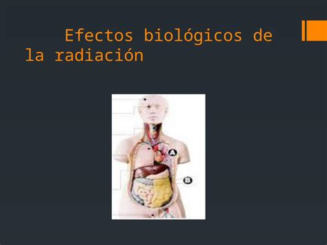 Pptx Efectos Biol Gicos De La Radiacion Pdfslide Net