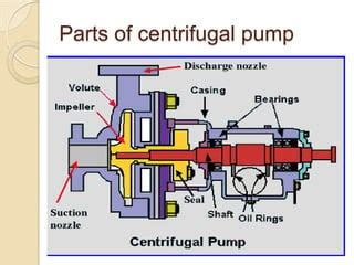 Mechanical Seal Vs Gland Packing PPT