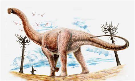 Paleontologi Id Raksasa Dari Selatan Argentinosaurus Dan Patagotitan