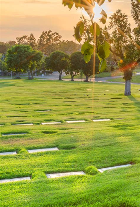 Servicios Exhumación Funeraria Blandino