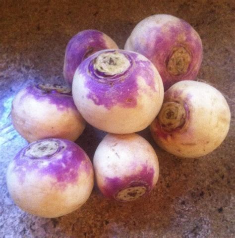 Mashed Turnips An Ever Green Life Turnip Green Life Thanksgiving Menu