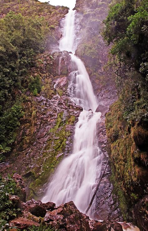 Montezuma Falls Tasmanias Highest Waterfall Photograph By Tony