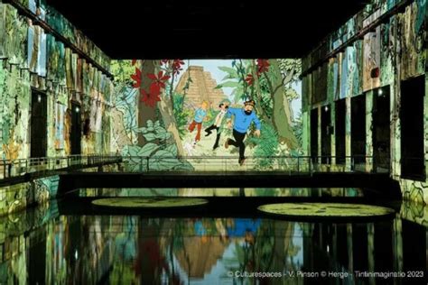 Tintin L Aventure Immersive Bassins Des Lumi Res Bordeaux