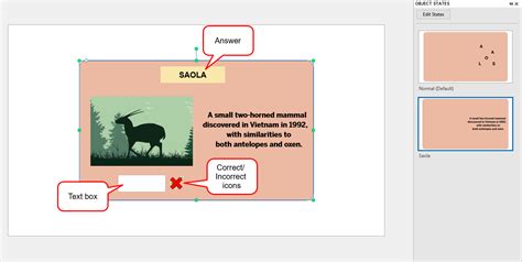 Advanced Interactive Flashcards Easy To Create With ActivePresenter