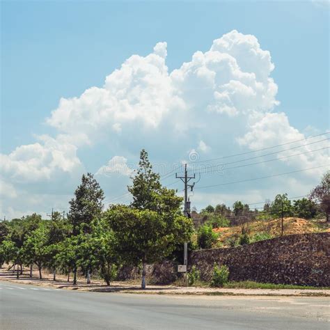 Bright Sunshine Day Time Highway Curve Road Overpass Nature Landscape