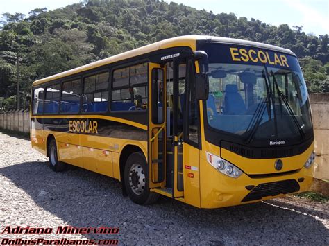 Marcopolo fornecerá 4 100 ônibus escolares ao governo Ônibus Transporte