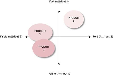 Positionnement Méthodologie Académie E marketing fr