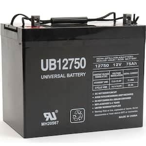 UPG 12 Volt 75 Ah Z1 Terminal Sealed Lead Acid SLA AGM Rechargeable