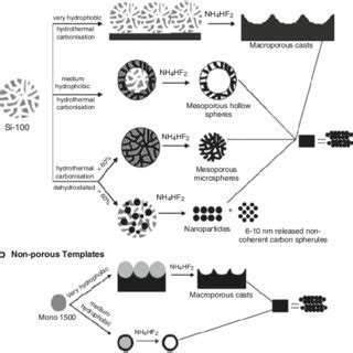 Schematic representation of the hydrothermal carbonization process ...