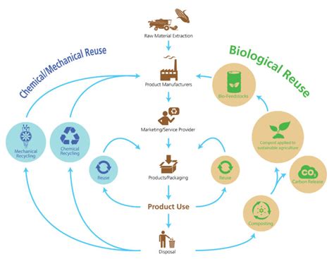 What Is Circular Packaging Sustainable Packaging Makes A Difference