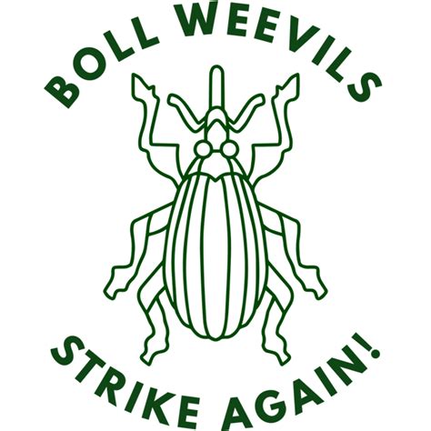 Boll Weevils