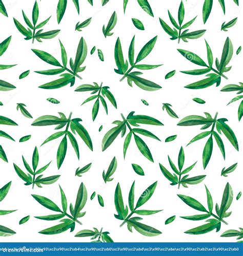 Seamless Pattern With Watercolor Green Branches And Leaves On White