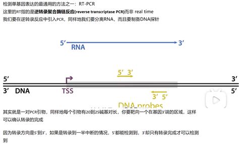 Mit 分子生物学 Part2 17 Gene By Gene Expression Rreverse Transcrip 哔哩哔哩