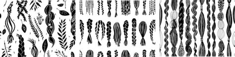 Decorative Braid Pattern Brushes Knitting Braided Ropes Collection On Isolated Background Braid