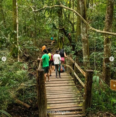 Icmbio Parque Nacional De Ubajara Venha Se Aventurar