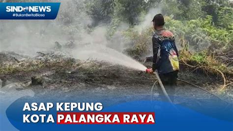 Mengkhawatirkan Kebakaran Hutan Dan Lahan Di Palangka Raya Ancam Rumah