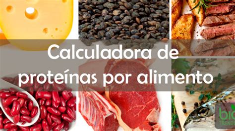 Descobrir Decrépito Filadélfia calculo de proteinas diarias sobrinha