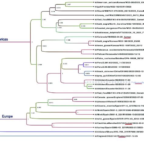 Phylogenetic Analysis Based On The Sequences For Hemagglutinin Ha Download Scientific Diagram