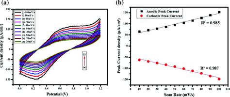 A Cyclic Voltammograms Of Pdpa Pta Zno At Various Scan Rates