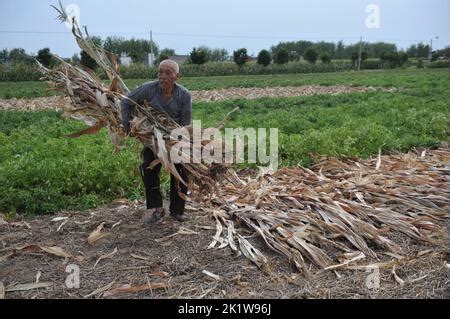 Fuyang China September Ein J Hriger Mann Tr Gt Im Dorf