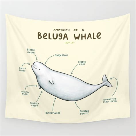 Anatomy of a Beluga Whale Wall Tapestry by Sophie Corrigan | Society6