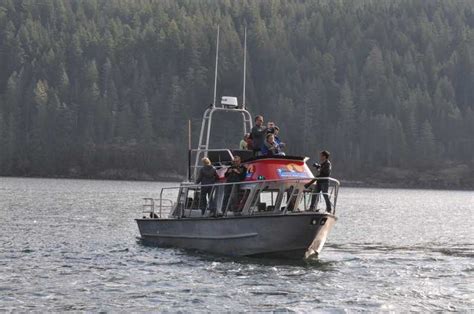 Campbell River Bute Inlet Grizzly Watching Tour Boat Ride Getyourguide