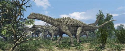 Ampelosaurus | Paleo Media Wiki | Fandom