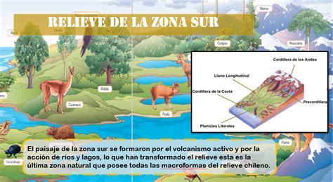 TOMi digital CLASE 4 CARACTERÍSTICAS GEOGRÁFICAS ZONA SUR