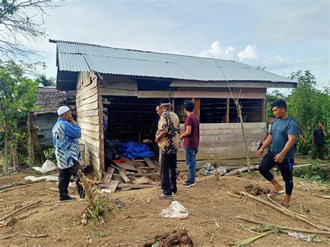 Kawanan Gajah Liar Di Aceh Timur Mengamuk Lima Rumah Dan Kebun Warga Rusak