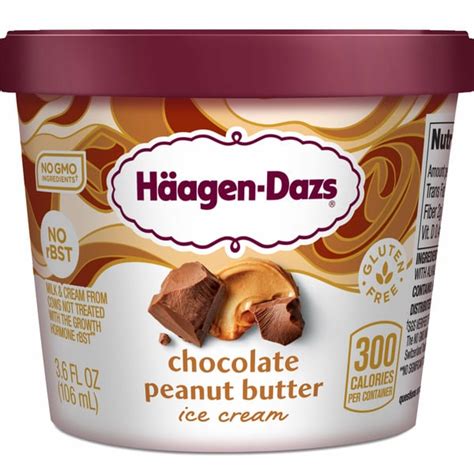 Publix Haagen Dazs Chocolate Peanut Butter Ice Cream Same Day Delivery