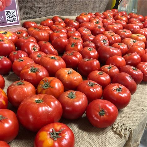 Beefsteak Tomatoes Information Recipes And Facts