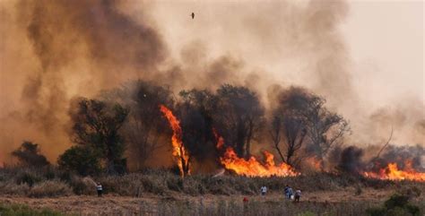 No Es Broma En Medio Del Humo Se Conmemora El Día De La Prevención De