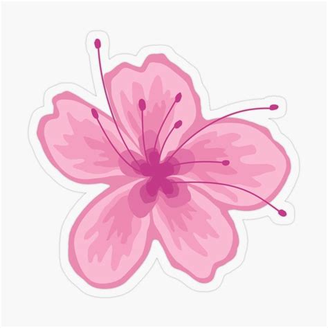 Sakura Flower Sticker For Sale By ZaryaKiqo Sakura Flower Sakura