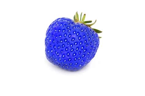 Blue Strawberry Real