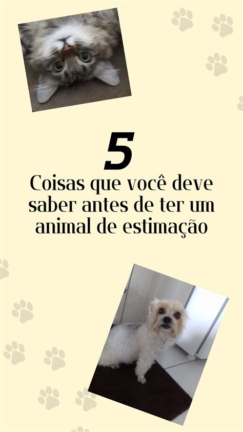 5 coisas que você deve saber antes de ter um animal Fabiana Jacopetti