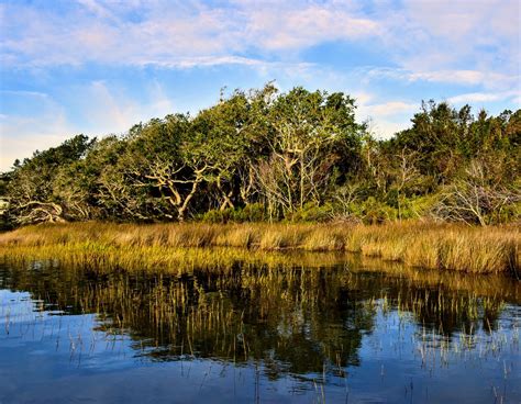 Bogue Sound Shoreline Project Gets Funding Coastal Review