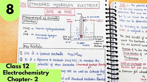 Standard Hydrogen Electrode She Calculate Standard Electrode