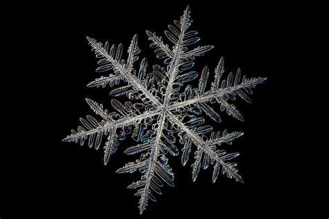 What Makes A Snowflake Special News Chemistry World