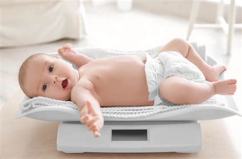 Ranking The Best Baby Scales Of To Track Babies Growth