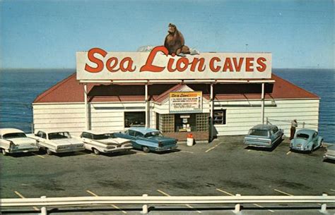 Sea Lion Caves - Year Round Home of the Wild Sea Lions Florence, OR