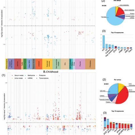 Biological Interpretation Of The Exposome Omics Associations Through