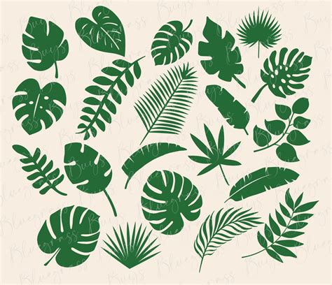 Tropical Leaves Svg Bundle Monstera Leaf Svg Jungle Leaves Clipart