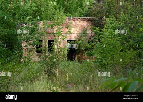 Destroyed Brick Building In The Green Forest Stock Photo Alamy