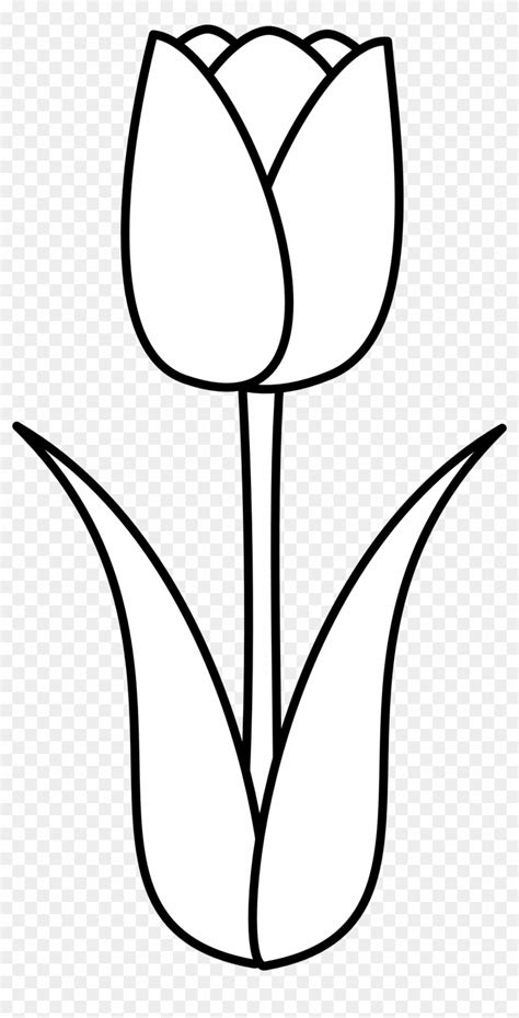 Dibujo De Flor Tulipan Dibujos De Flores Para Pintar Dibujos Para