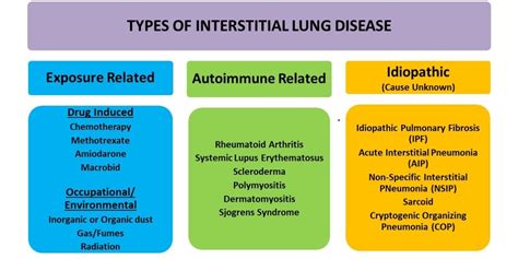 Solution Interstitial Lung Disease Restrictive Cheat Sheet Studypool ...