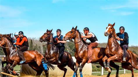 Palio Annullato Il Primo Appuntamento A Mociano Gazzetta Di Siena