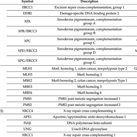 Cisplatin Induced DNA Adducts A Structure Formulas Of Cisplatin And