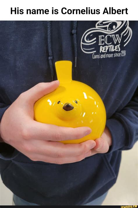 His Name Is Cornelius Albert Ifunny