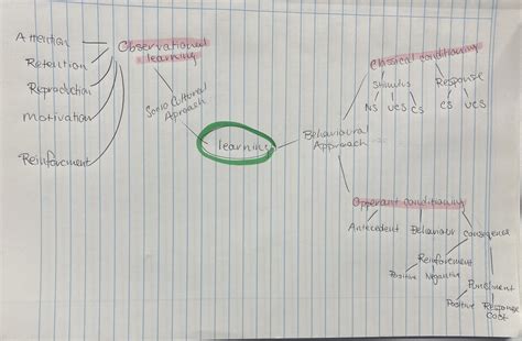 Psych AOS2 Learning And Memory Diagram Quizlet