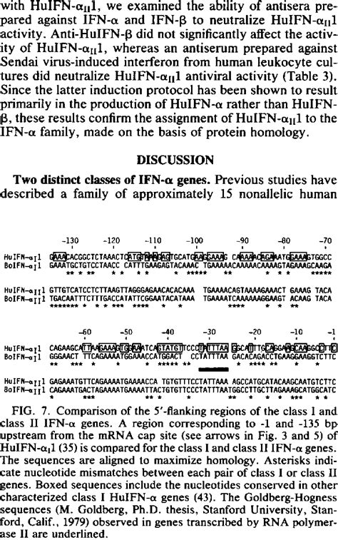 , HuIFN-aill and BoIFN-alil, like HuIFN-a12, show approximately equal ...